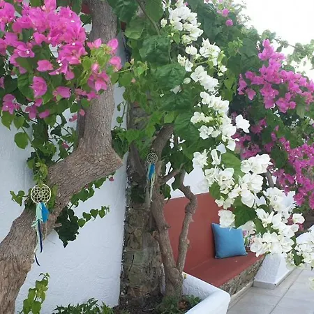 Nikos Apartament Livadia (Tilos)