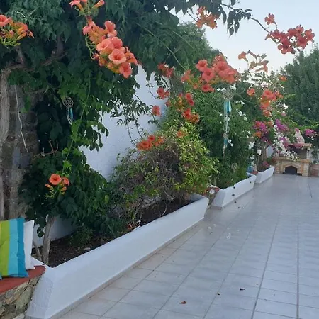 Nikos Livadia (Tilos)